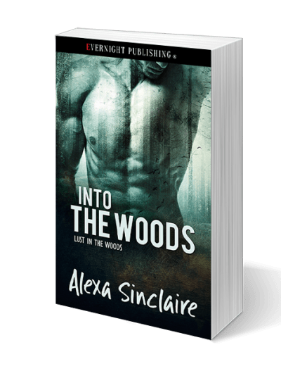 into-the-woods-evernightpublishing-sept2016-3drender